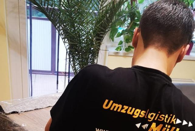 Preise für Ihren Studentenumzug in Elsnig